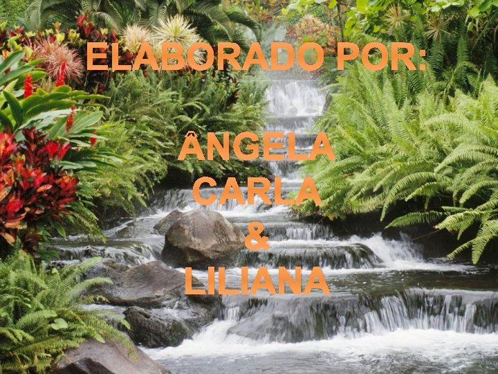 ELABORADO POR: NGELA CARLA & LILIANA 