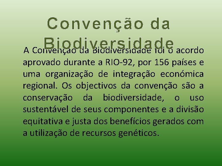 Convenção da Biodiversidade A Convenção da Biodiversidade foi o acordo aprovado durante a RIO-92,