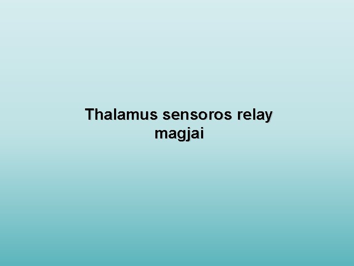 Thalamus sensoros relay magjai 