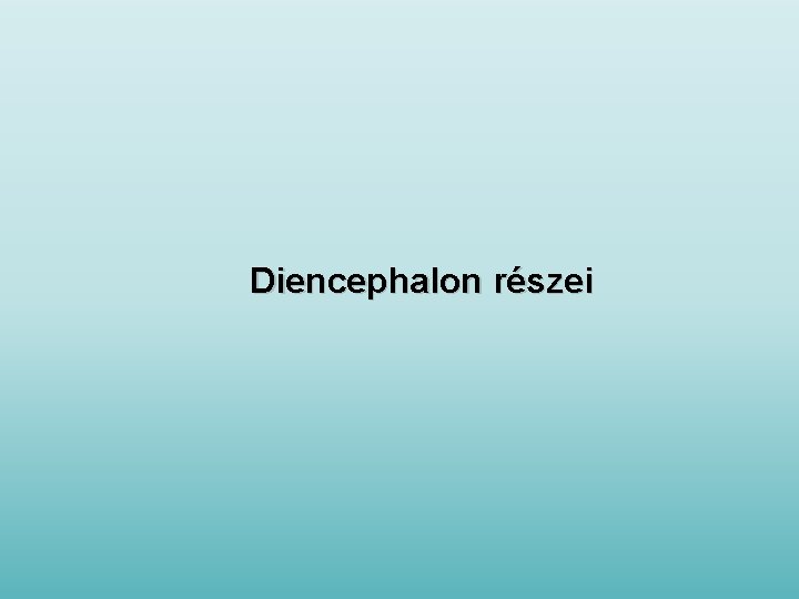 Diencephalon részei 