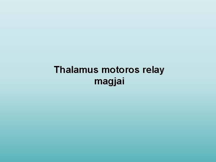 Thalamus motoros relay magjai 