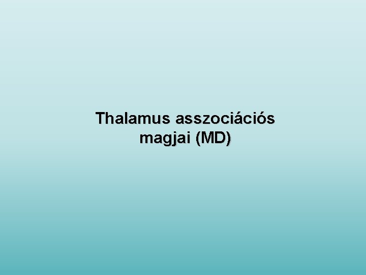 Thalamus asszociációs magjai (MD) 