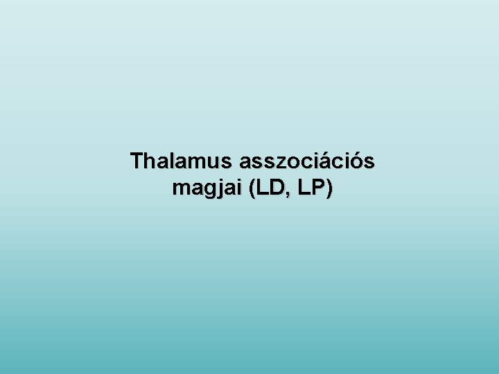 Thalamus asszociációs magjai (LD, LP) 