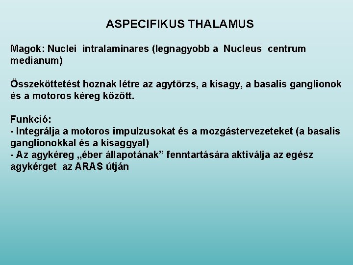 ASPECIFIKUS THALAMUS Magok: Nuclei intralaminares (legnagyobb a Nucleus centrum medianum) Összeköttetést hoznak létre az