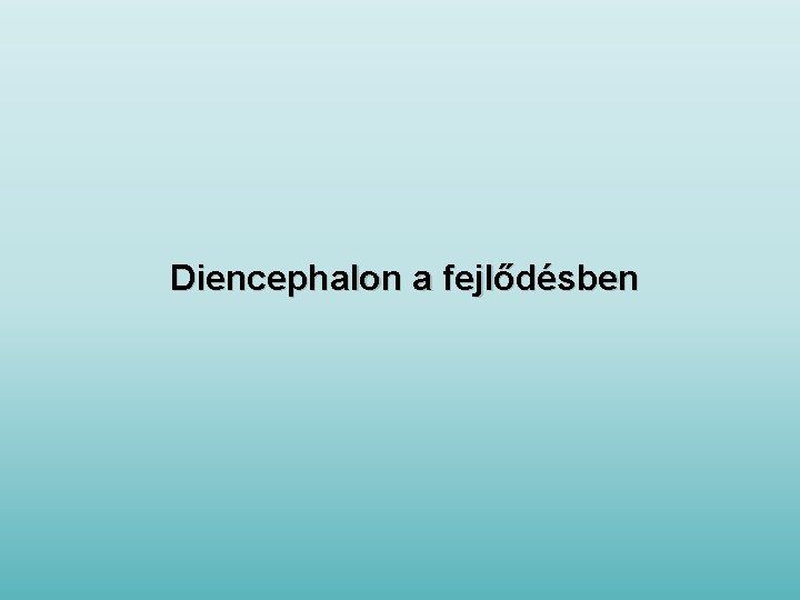 Diencephalon a fejlődésben 