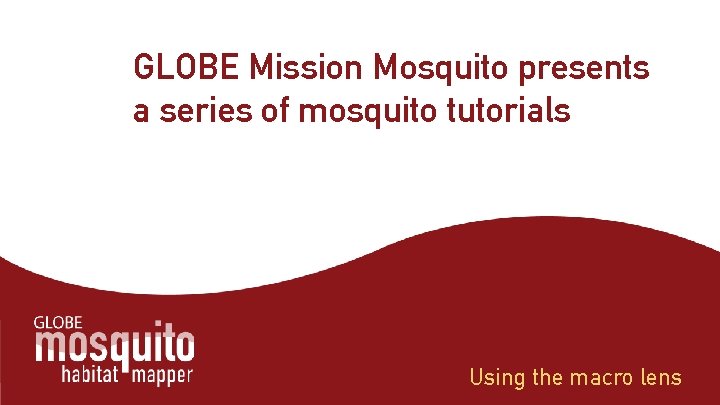 GLOBE Mission Mosquito presents a series of mosquito tutorials Using the macro lens 