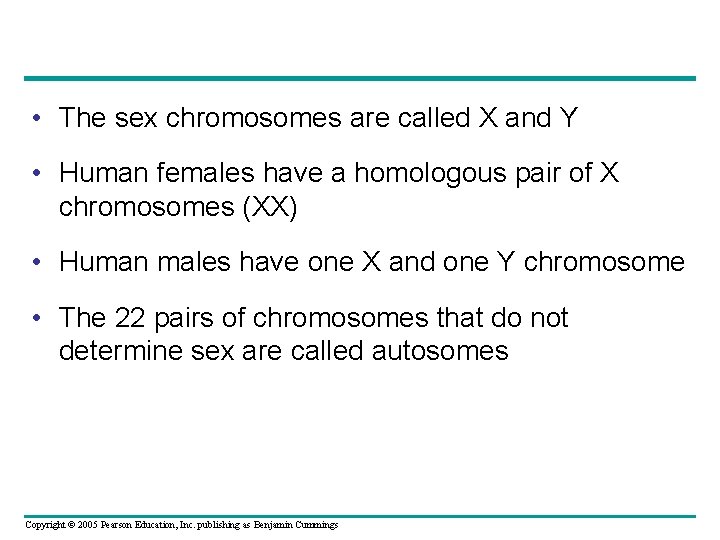  • The sex chromosomes are called X and Y • Human females have