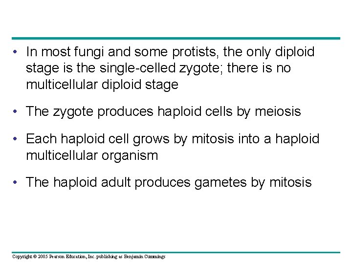  • In most fungi and some protists, the only diploid stage is the