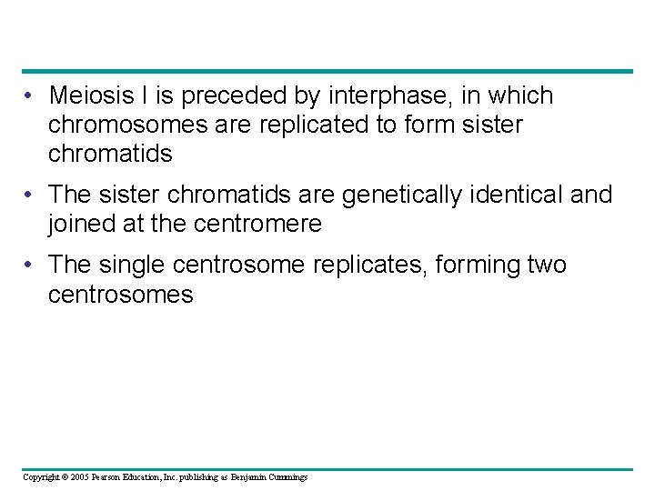  • Meiosis I is preceded by interphase, in which chromosomes are replicated to