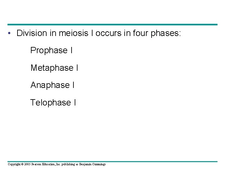  • Division in meiosis I occurs in four phases: Prophase I Metaphase I