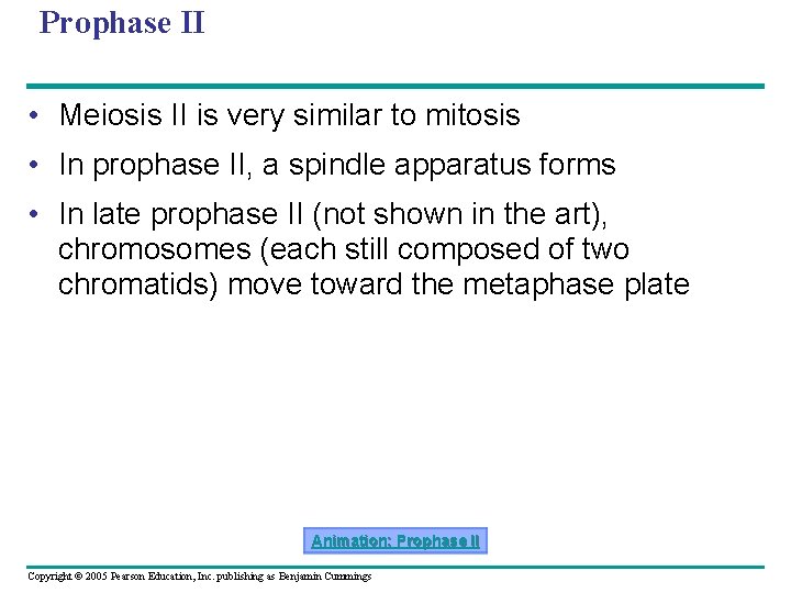 Prophase II • Meiosis II is very similar to mitosis • In prophase II,