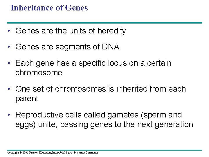 Inheritance of Genes • Genes are the units of heredity • Genes are segments