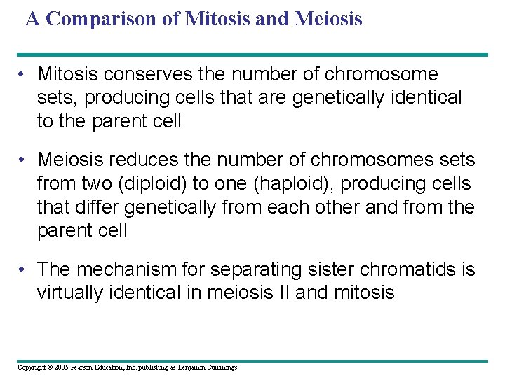 A Comparison of Mitosis and Meiosis • Mitosis conserves the number of chromosome sets,