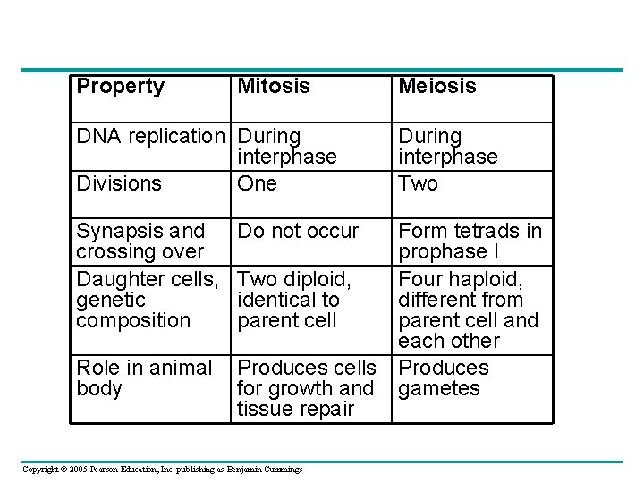 Property Mitosis Meiosis DNA replication During interphase Divisions One During interphase Two Synapsis and