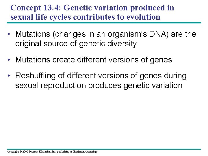 Concept 13. 4: Genetic variation produced in sexual life cycles contributes to evolution •