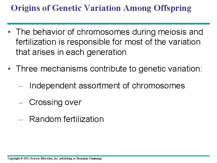 Origins of Genetic Variation Among Offspring • The behavior of chromosomes during meiosis and