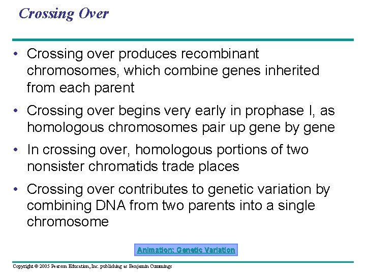 Crossing Over • Crossing over produces recombinant chromosomes, which combine genes inherited from each