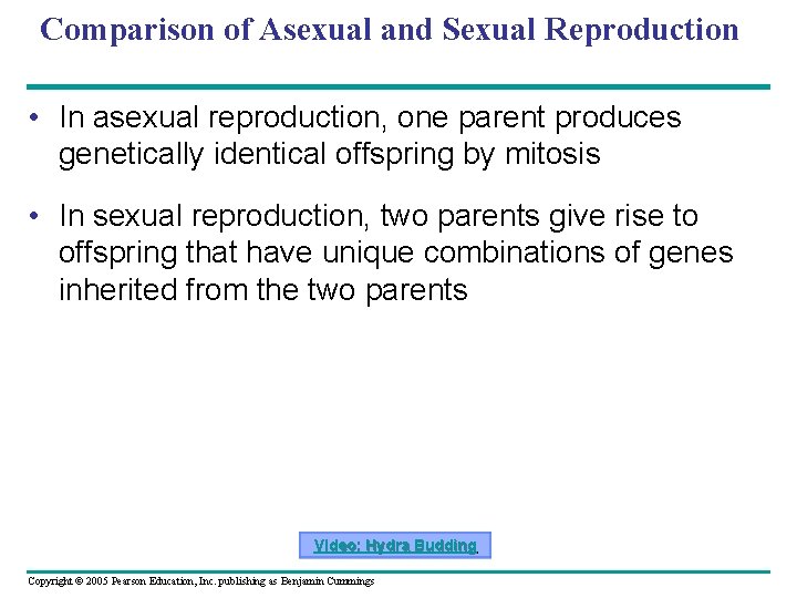 Comparison of Asexual and Sexual Reproduction • In asexual reproduction, one parent produces genetically