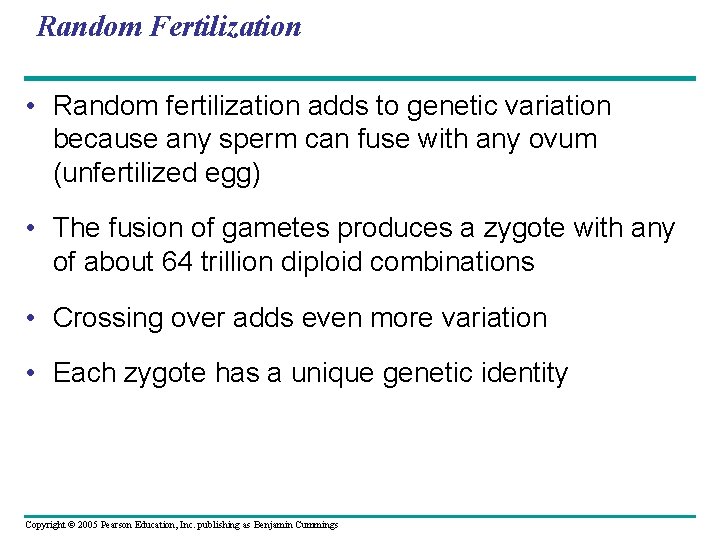 Random Fertilization • Random fertilization adds to genetic variation because any sperm can fuse