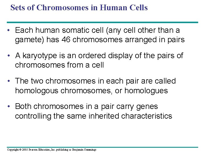 Sets of Chromosomes in Human Cells • Each human somatic cell (any cell other