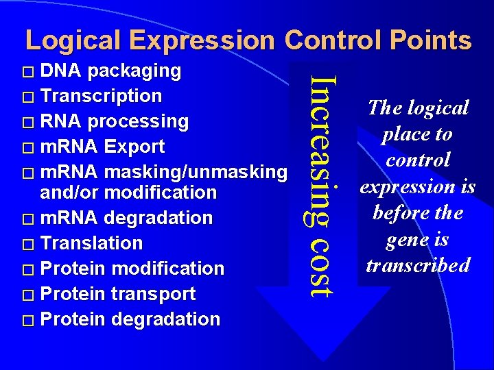 Logical Expression Control Points packaging � Transcription � RNA processing � m. RNA Export