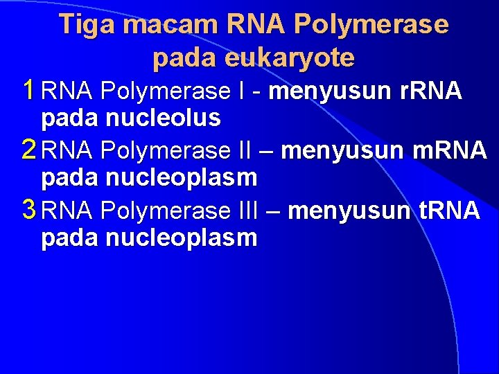 Tiga macam RNA Polymerase pada eukaryote 1 RNA Polymerase I - menyusun r. RNA