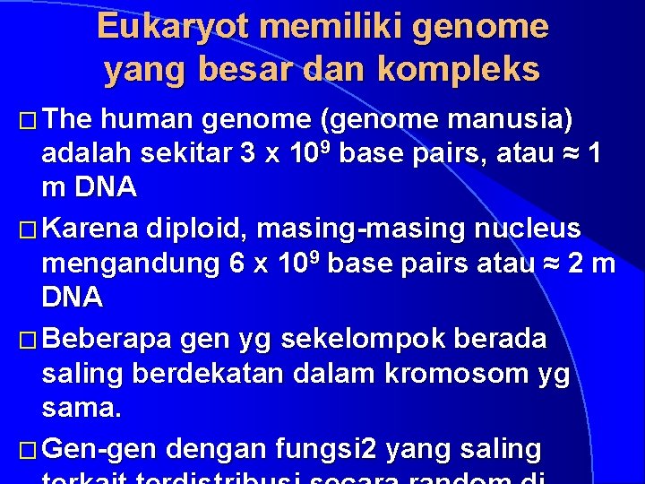 Eukaryot memiliki genome yang besar dan kompleks � The human genome (genome manusia) adalah