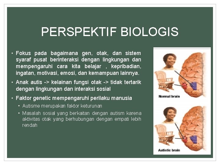 PERSPEKTIF BIOLOGIS • Fokus pada bagaimana gen, otak, dan sistem syaraf pusat berinteraksi dengan