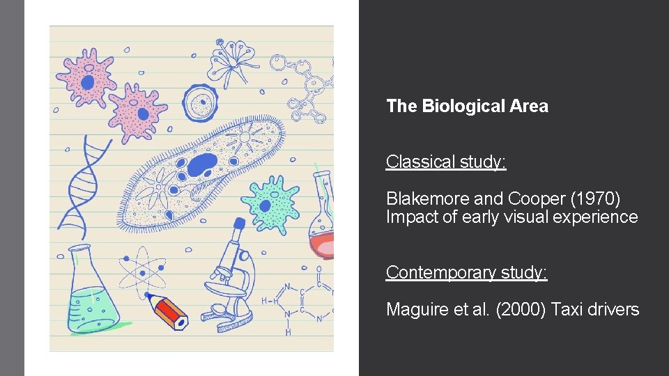 The Biological Area Classical study: Blakemore and Cooper (1970) Impact of early visual experience