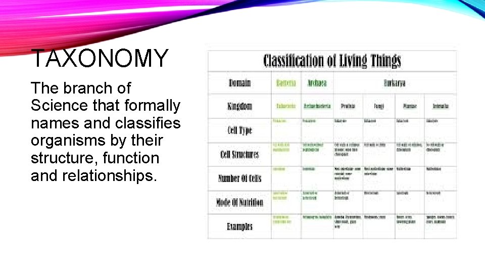 TAXONOMY The branch of Science that formally names and classifies organisms by their structure,