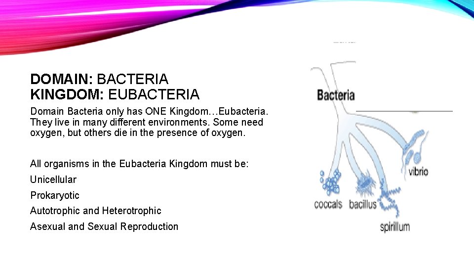 DOMAIN: BACTERIA KINGDOM: EUBACTERIA Domain Bacteria only has ONE Kingdom…Eubacteria. They live in many