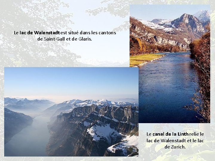 Le lac de Walenstadt est situé dans les cantons de Saint-Gall et de Glaris.