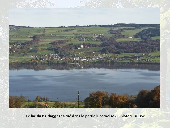 Le lac de Baldegg est situé dans la partie lucernoise du plateau suisse. 