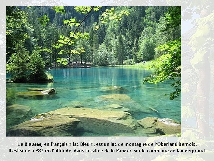 L e Blausee, en français « lac Bleu » , est un lac de