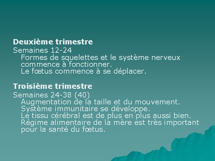 Deuxième trimestre Semaines 12 -24 Formes de squelettes et le système nerveux commence à