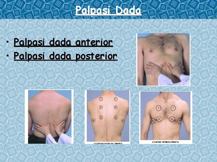 Palpasi Dada • Palpasi dada anterior • Palpasi dada posterior 