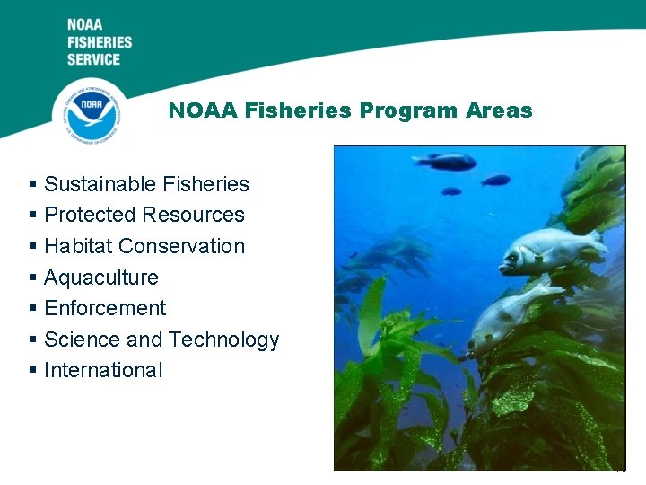 NOAA Fisheries Program Areas § Sustainable Fisheries § Protected Resources § Habitat Conservation §