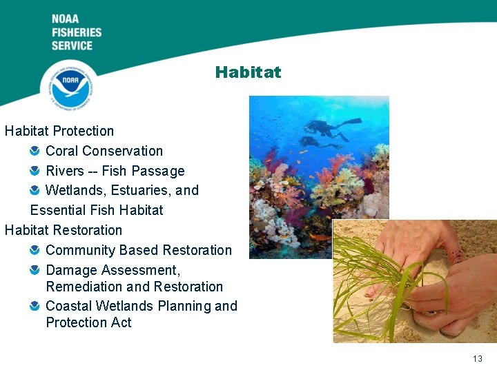 Habitat Protection Coral Conservation Rivers -- Fish Passage Wetlands, Estuaries, and Essential Fish Habitat