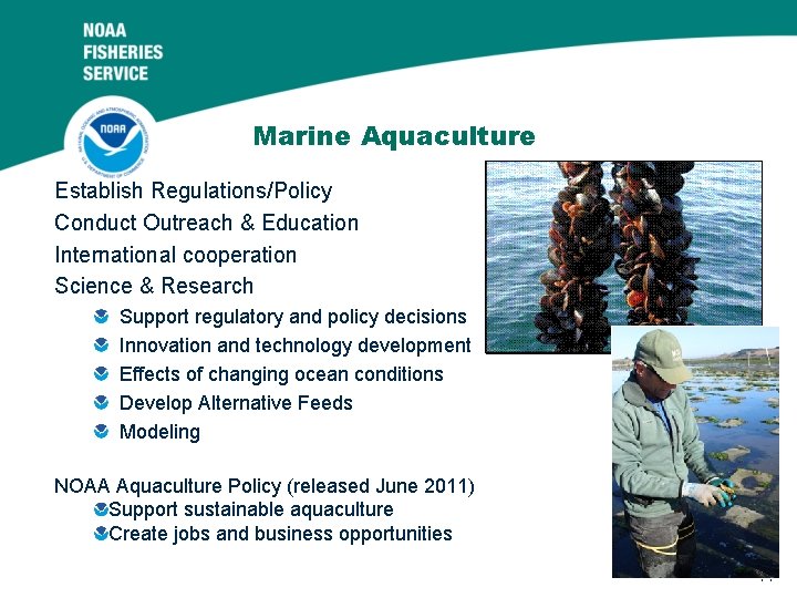 Marine Aquaculture Establish Regulations/Policy Conduct Outreach & Education International cooperation Science & Research Support