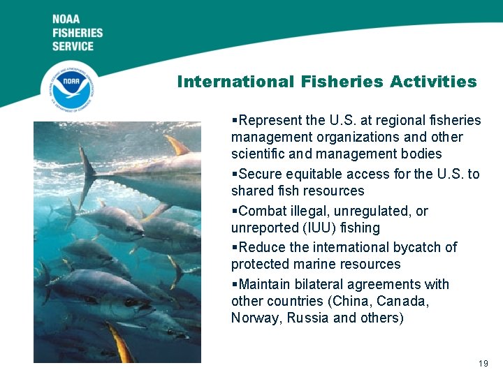 International Fisheries Activities §Represent the U. S. at regional fisheries management organizations and other