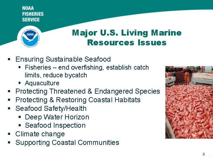 Major U. S. Living Marine Resources Issues § Ensuring Sustainable Seafood § Fisheries –