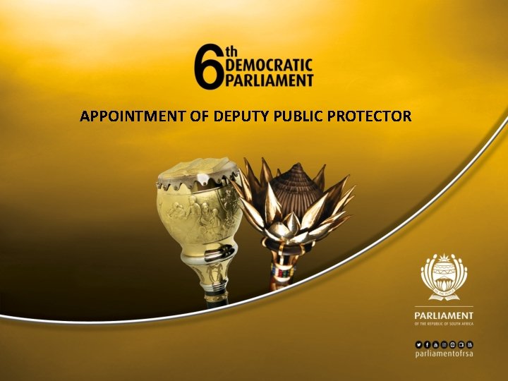 APPOINTMENT OF DEPUTY PUBLIC PROTECTOR 