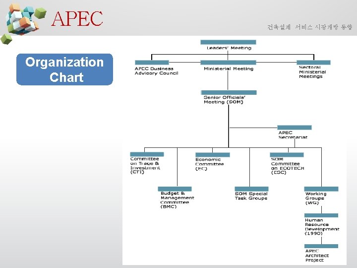 APEC Organization Chart 건축설계 서비스 시장개방 동향 