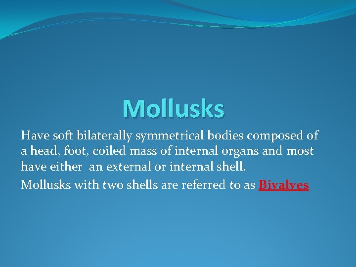 Mollusks Have soft bilaterally symmetrical bodies composed of a head, foot, coiled mass of
