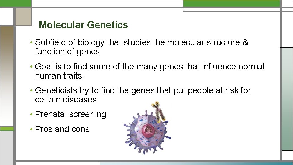 Molecular Genetics • Subfield of biology that studies the molecular structure & function of