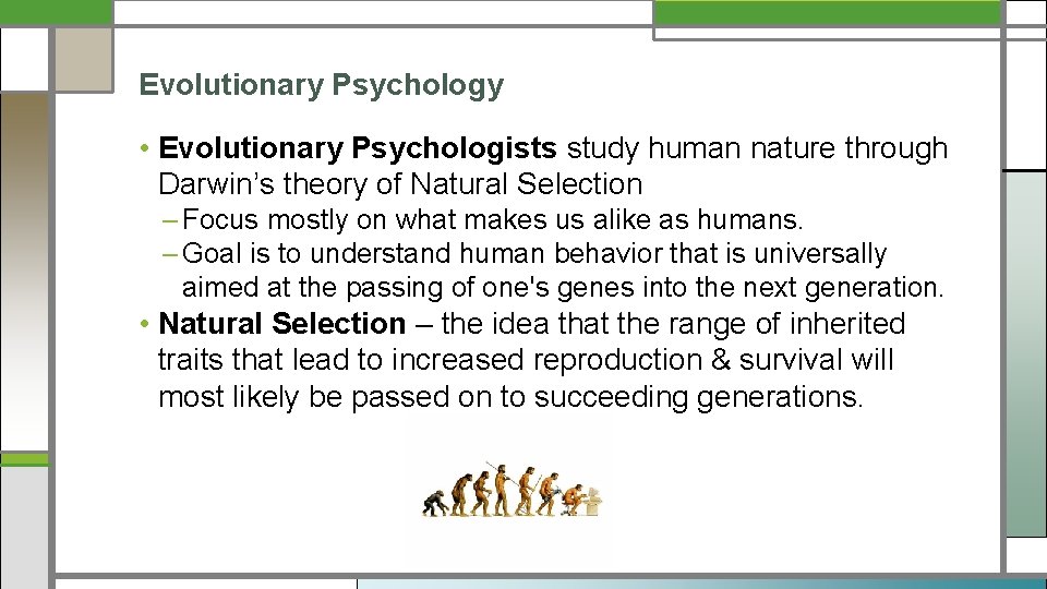 Evolutionary Psychology • Evolutionary Psychologists study human nature through Darwin’s theory of Natural Selection
