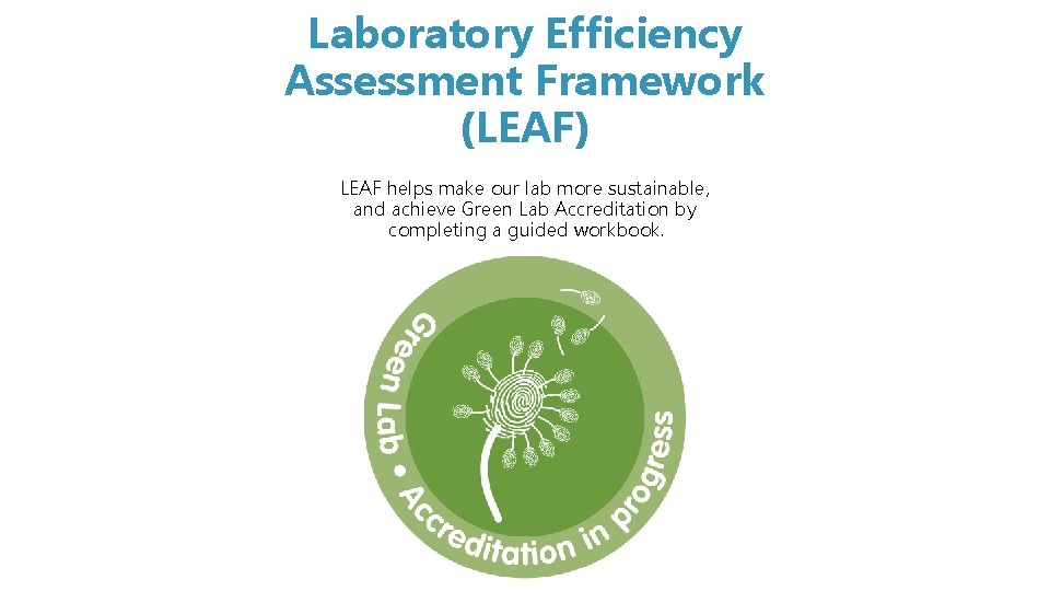 Laboratory Efficiency Assessment Framework (LEAF) LEAF helps make our lab more sustainable, and achieve