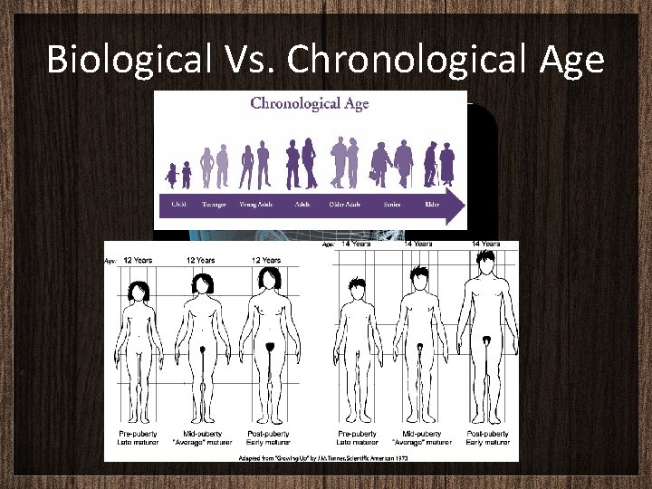 Biological Vs. Chronological Age 