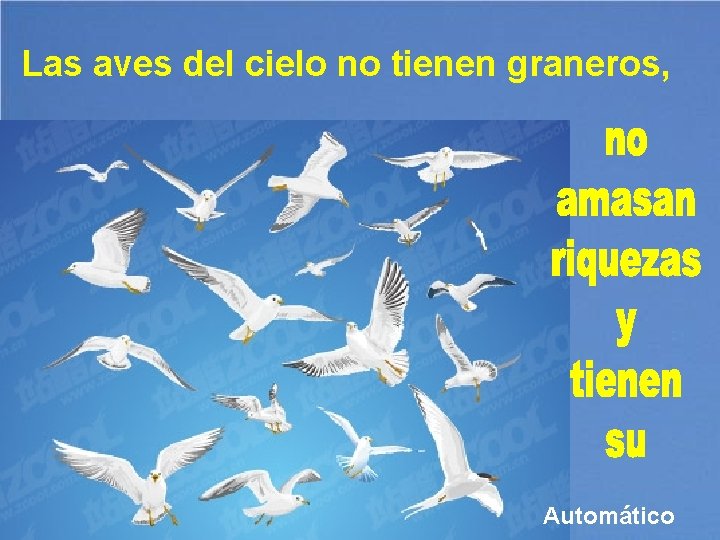 Las aves del cielo no tienen graneros, Automático 