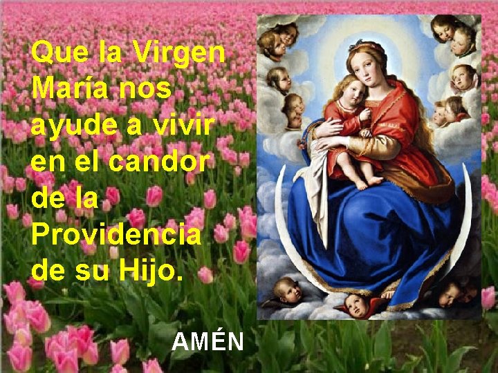 Que la Virgen María nos ayude a vivir en el candor de la Providencia